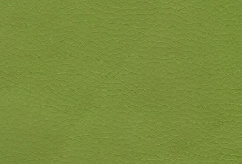 Zelena [+8,75€]