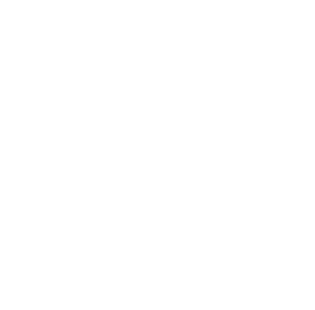 Slika iz kategorije Sigurnosne brave za sefove